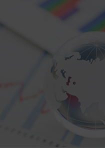 Overseas Marketing Support for Japanese Companies